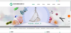網(wǎng)站定制開(kāi)發(fā)宣傳作用